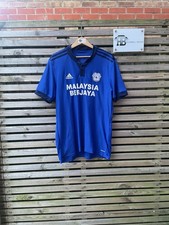 Cardiff City Home Football