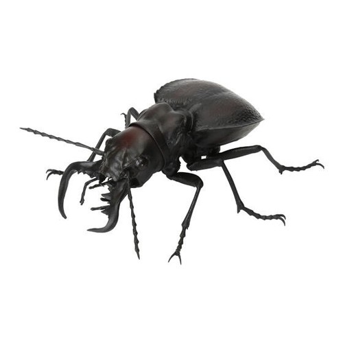 Bandai gashapon stag beetle - stag, 12