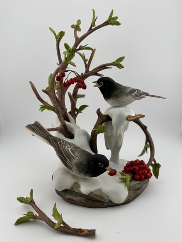 Boehm slate colored junco - colored,