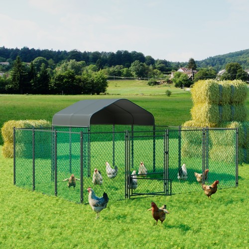 Large elevated chicken coop - large,