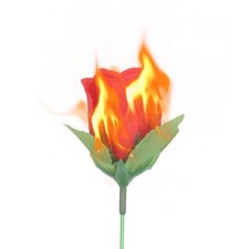 Flame Magic Tricks Magician