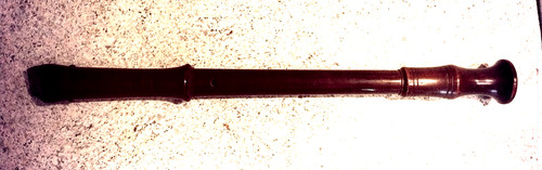 Alto recorder soloist - recorder,