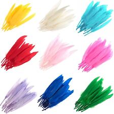 24 x Duck Feathers Decoration