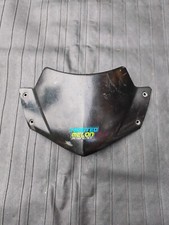 Aprilia SR50R Windshield Panel