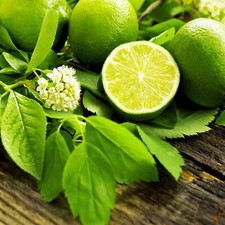French Lime Blossom Fragrance
