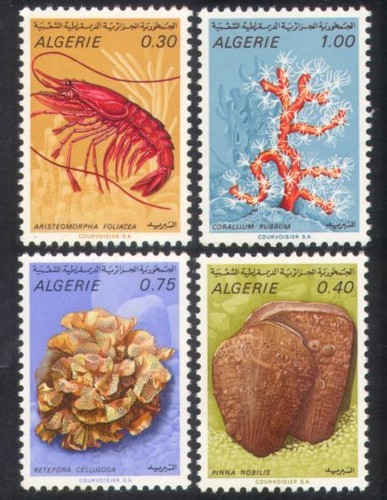 Algeria 1970