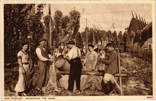 Kent hop picking measuring - pc,