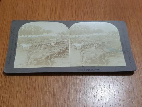 Excelsior stereoscope tours - stereoscope,