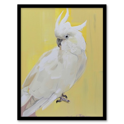 White cockatoo parrot bird - white,