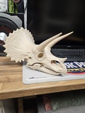 3d Printed Bone White