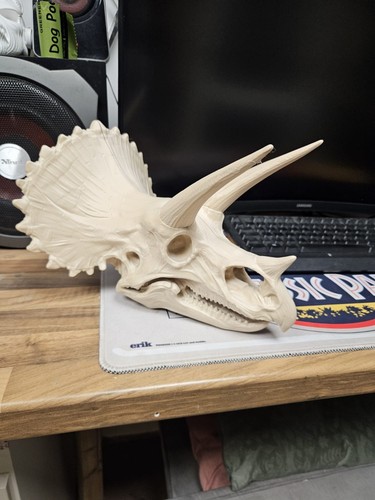 Printed bone white - 3d,