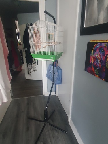 Used bird cage - cage, stand