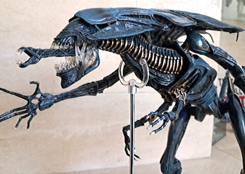 Neca aliens queen xenomorph - aliens,