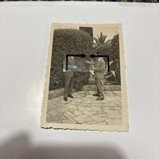 carovigno, toast, animated, epiphanius, FRE214