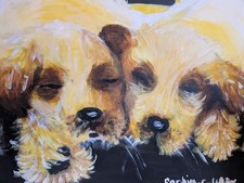 Sleeping Golden Labrador