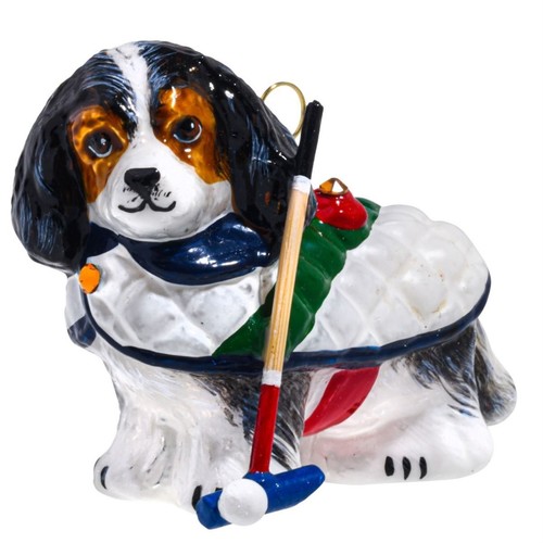 Blenheim cavalier king - cavalier,