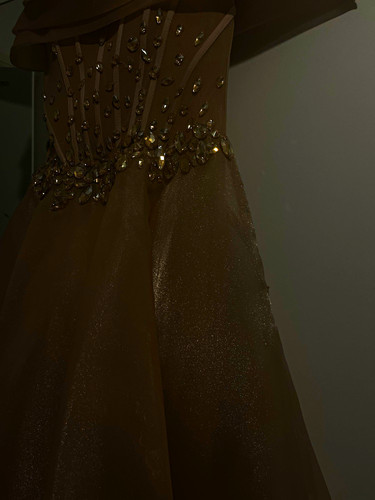 Gold prom dress with gold