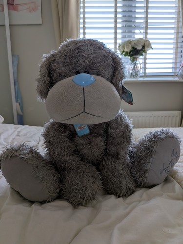 Blue nose friends - friends, tatty