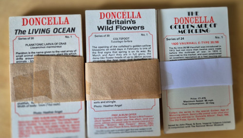 Full sets doncella - 3, of