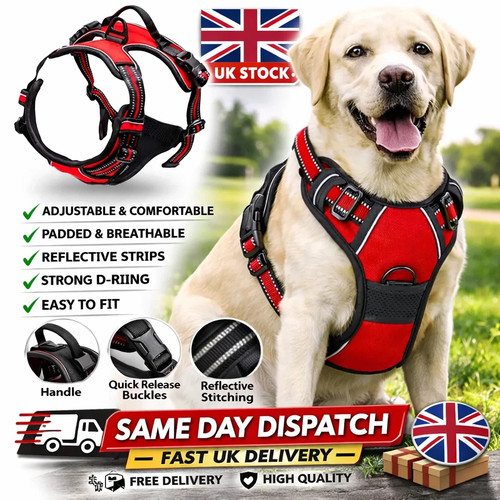 Pull pet dog harness - harness, with