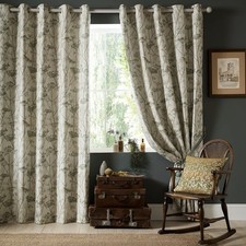 Clarissa Hulse Wild Chervil