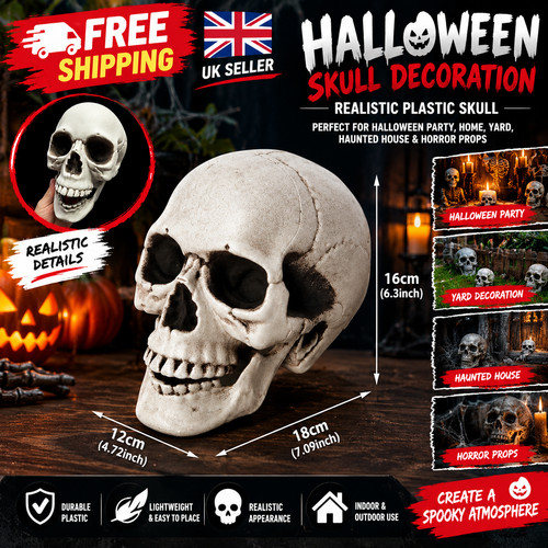 Halloween skull head skeleton - skull,