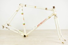 DACCORDI VINTAGE FRAME 49 53