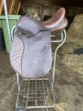 REDUCED Jefferies Falcon Adler