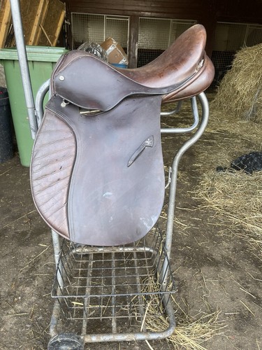 Reduced jefferies falcon - reduced,