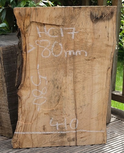 Spalted chestnut live - spalted, edge