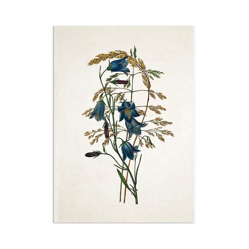 Vintage botanical art print - vintage,