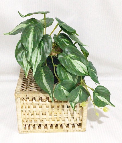 Artificial trailing plant - artificial,