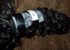 LICK GUARD- M - x 1- LIGHT FLEXIBLE SHIELD-COVERS LICK GRANULOMAS, IV CATHETERS