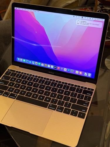 Apple macbook retina - 12",