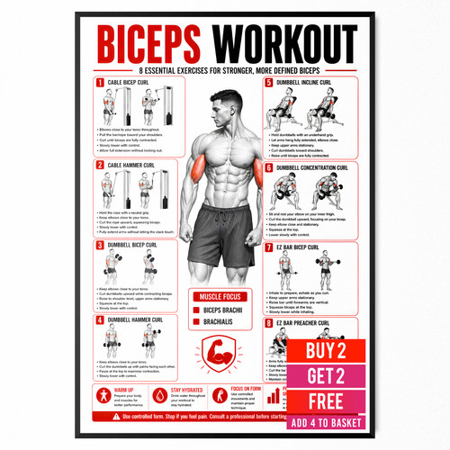 Bicep workout poster - bicep, gym