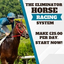 Horse Racing System: 226 Betting Days, ALL Of Them a Winner! Start Today Buy Now