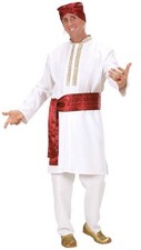 Bollywood star adult costume - bollywood,