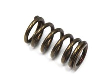 SPRING EXHAUST VALVE PSYCHIC