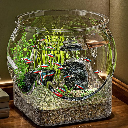 Clear pet fish bowl - bowl, round