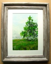 Birch trees Grove Framed
