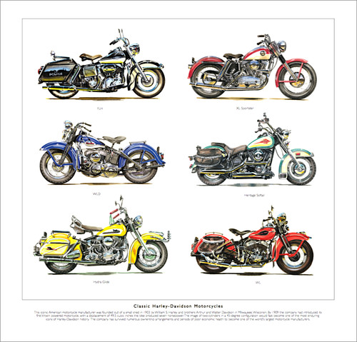 Fine art print depicting - fine,