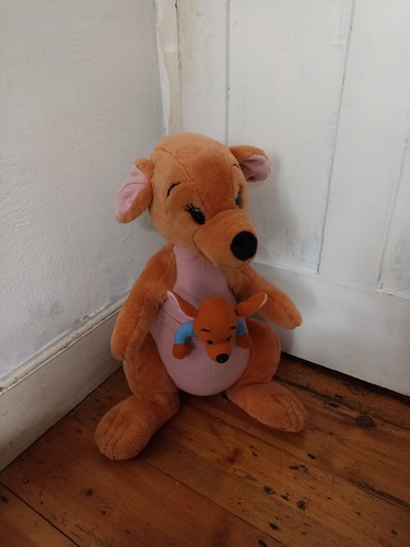 Disney winnie the pooh kanga - the,