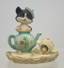 Black and White Cat in a