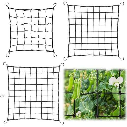 Elastic scrog trellis - elastic, net