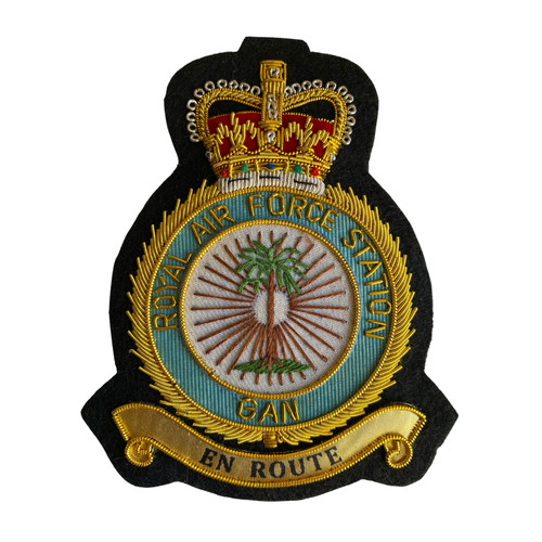 Raf gan blazer - blazer, badge