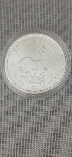 2020 south african - 2020,