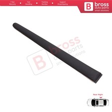 Rear Right Side Door Moulding