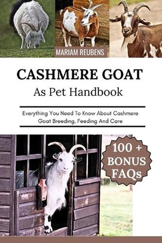 Cashmere goat everything - goat:, you