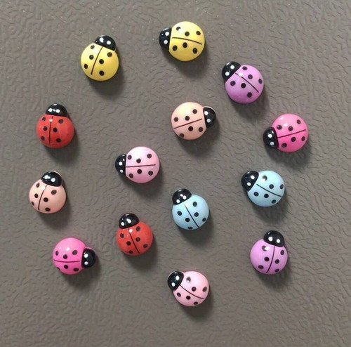 Pack mixed colour - 5, ladybug