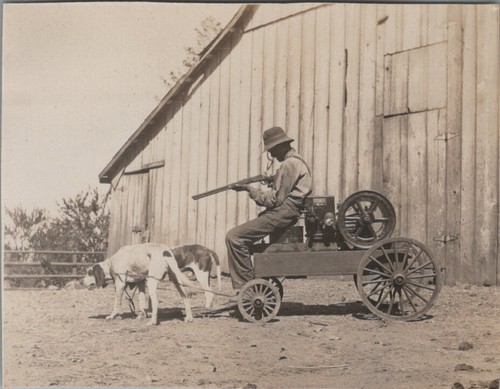 Santa clara county 1921 dogs - santa,